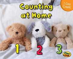 Counting at home